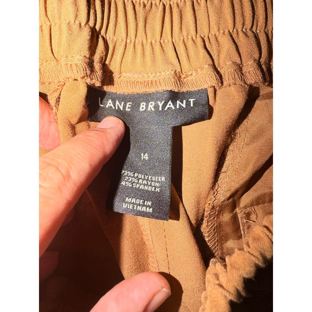 Lane Bryant Pants Brown with Black Stripe Size 14 - Picture 2 of 3